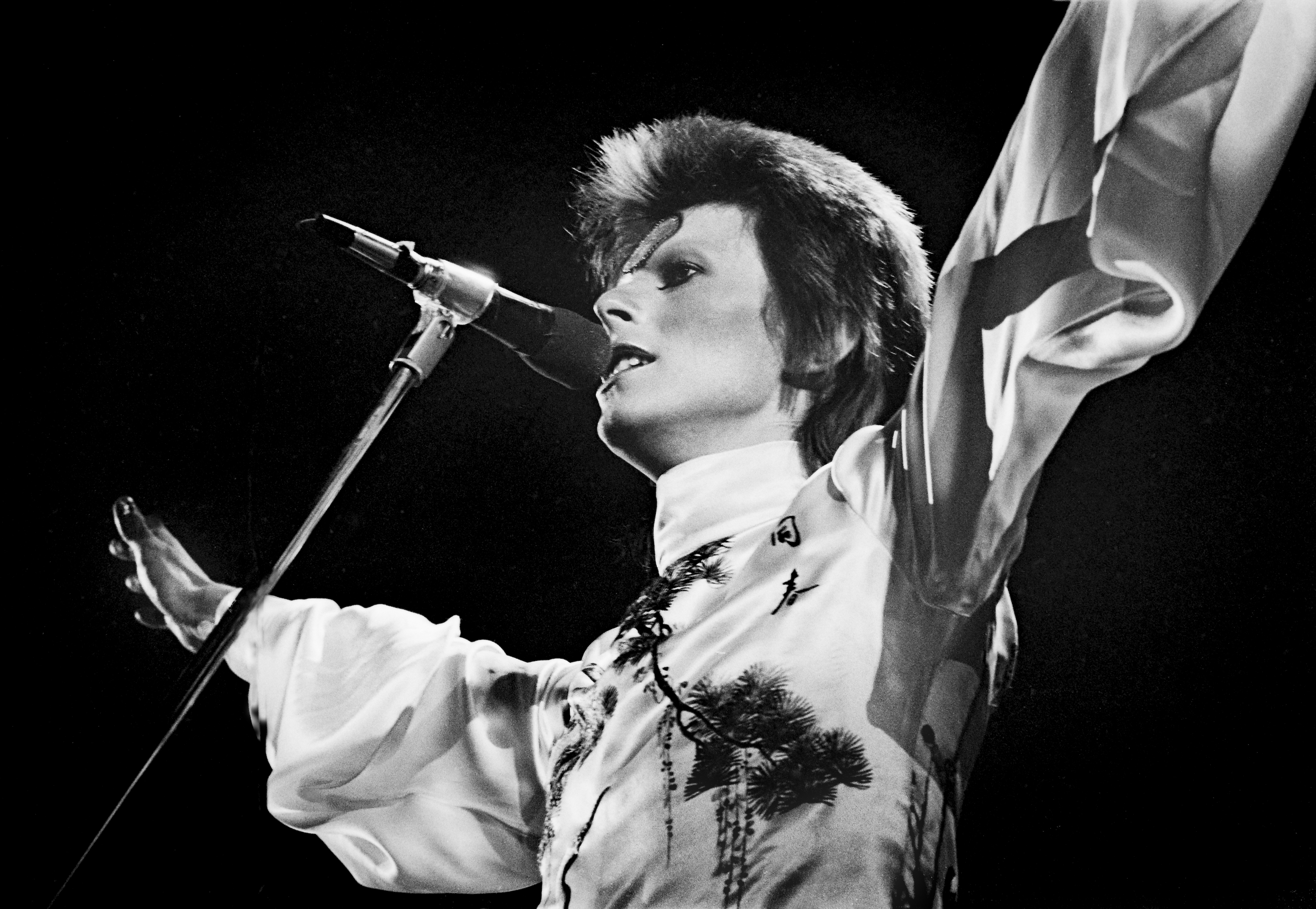 Ziggy Stardust and The Spiders From Mars - Live by David Bowie