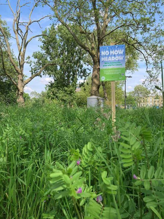 Shepherds Bush Green