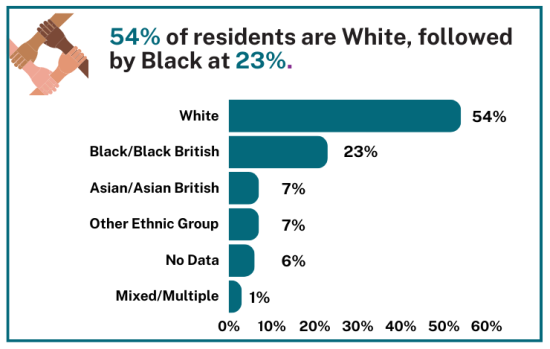 Demographics of residents receiving long term support by ethnicity