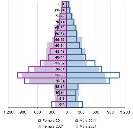 Ward population pyramid by gender and age comparing 2011 and 2021.