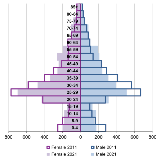 Ward population pyramid by gender and age comparing 2011 and 2021.