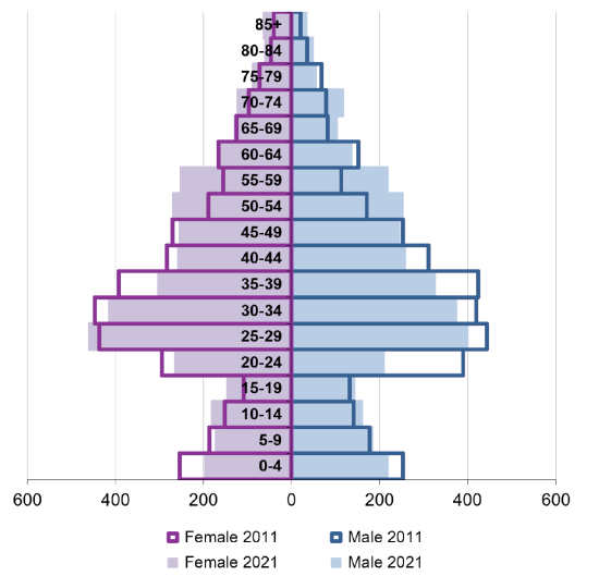 Ward population pyramid by gender and age comparing 2011 and 2021.