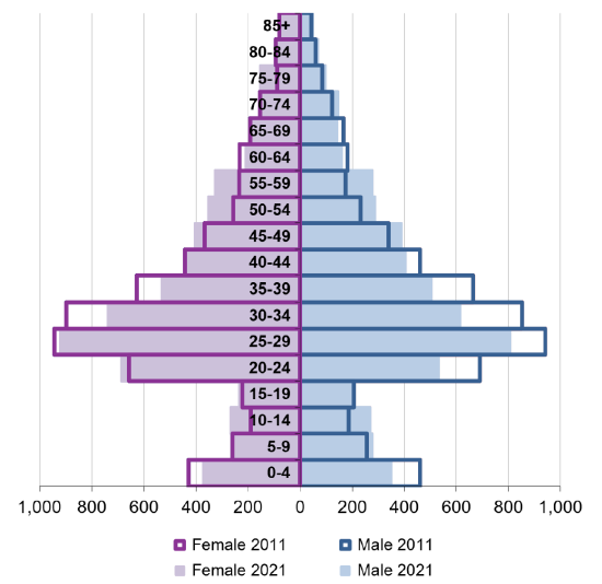 Ward population pyramid by gender and age comparing 2011 and 2021