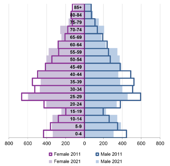 Ward population pyramid by gender and age comparing 2011 and 2021.