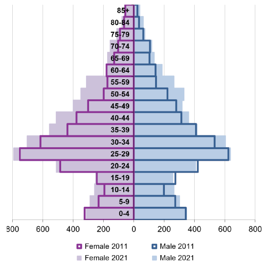 Ward population pyramid by gender and age comparing 2011 and 2021.