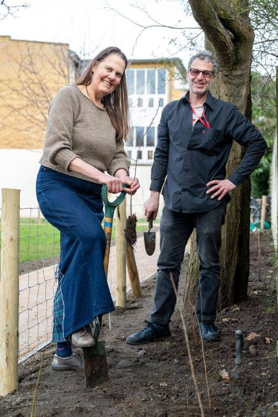 Tree planting in Purcell Crescent, Fulham