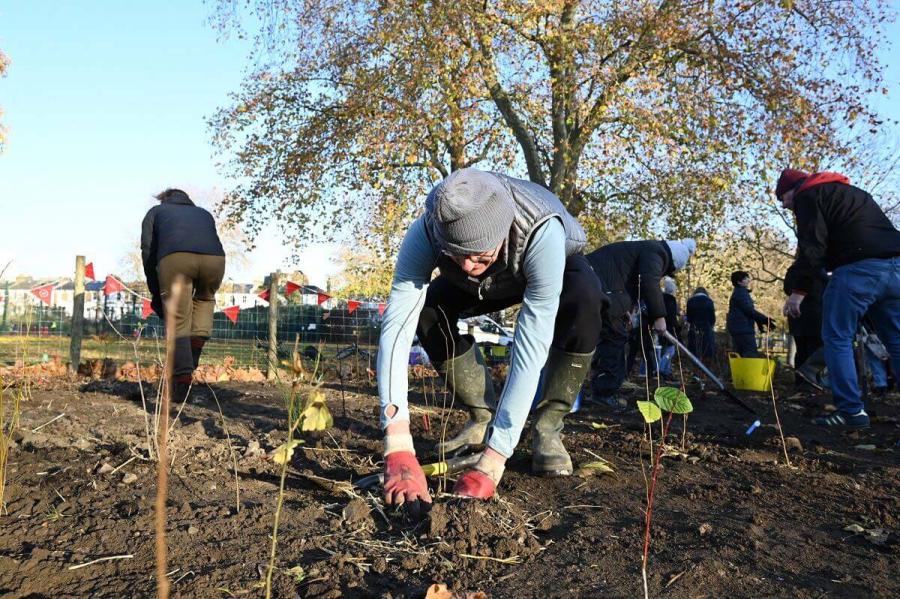 Tiny Forest planting in Eelbrook Common, Fulham