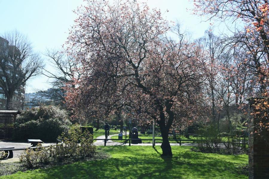 Ravenscourt Park in spring