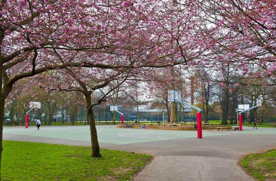 Basketball courts in Ravenscourt Park