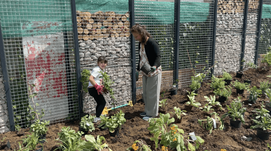 A volunteer and her daughter plant shrubs at Frank Banfield Park