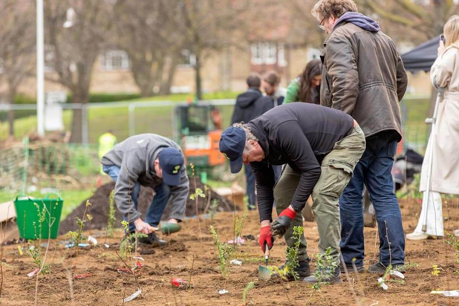 Tiny Forest planting at Frank Banfield Park