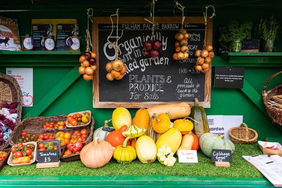 Plants and produce for sale in Fulham Palace's historic orchard and walled garden