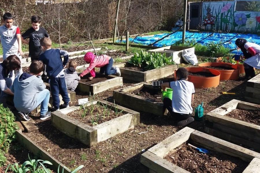 Children's planting activities at Phoenix Farm, White City