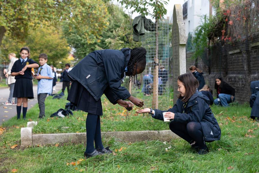 Children from St John’s Walham Green primary school planting native bluebells and snowdrops