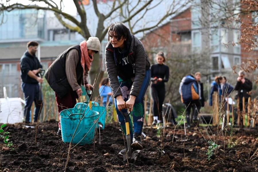 Volunteers plant whips at Norland Open Space