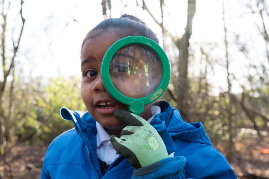 Getting hands-on exploring the natural environment is on the curriculum at the new forest school