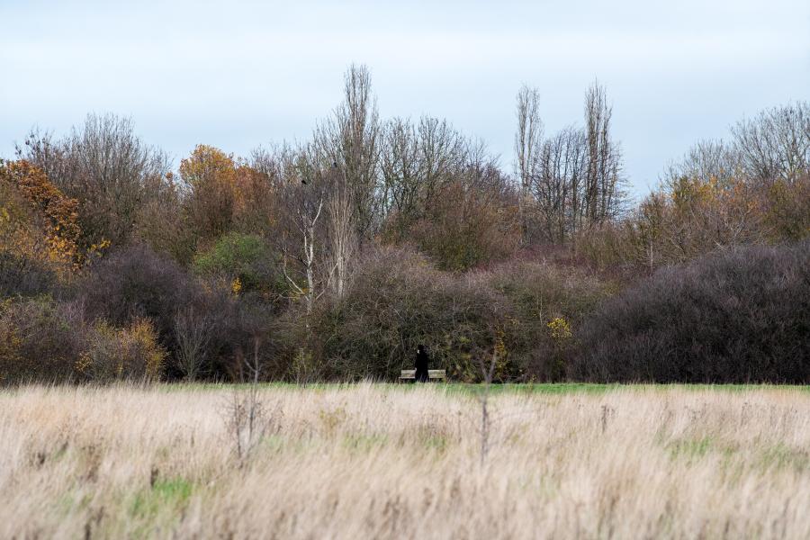 Wormwood Scrubs Open Space London Borough Of Hammersmith Fulham   Mg Hf Wormwood Scrubs 05 0 