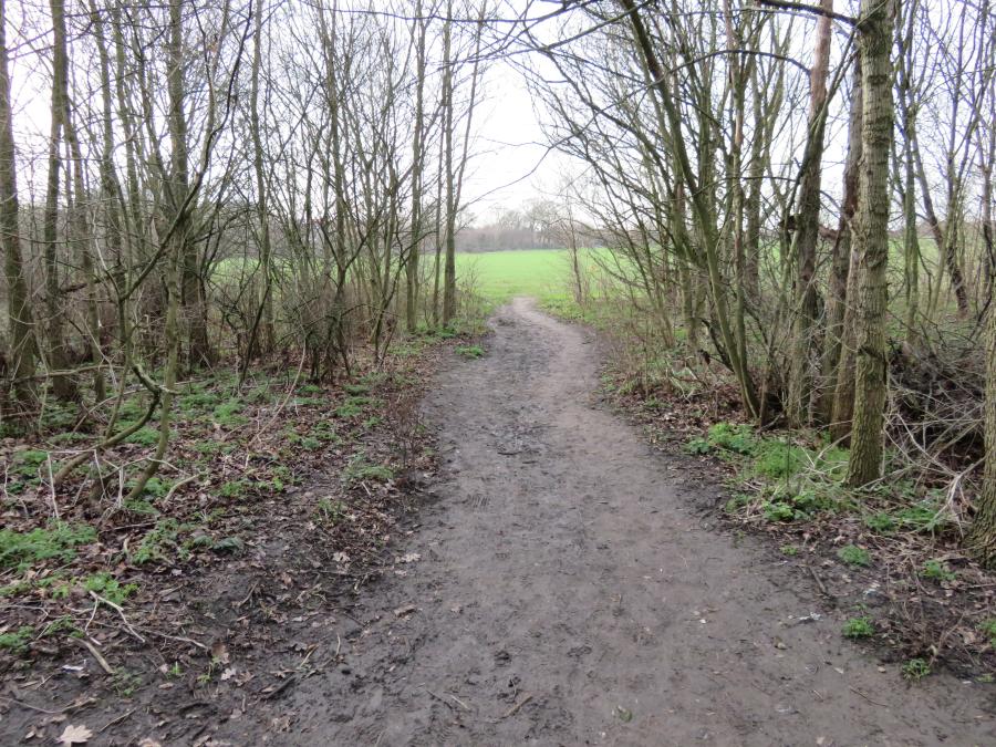 A Masterplan For Wormwood Scrubs London Borough Of Hammersmith Fulham   Wormwood Scrubs Muddy Footpath 